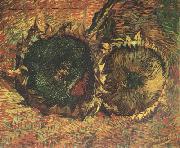 Vincent Van Gogh Two Cut Sunflowers (nn04) china oil painting reproduction